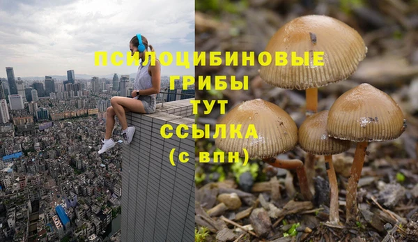 jwh Беломорск