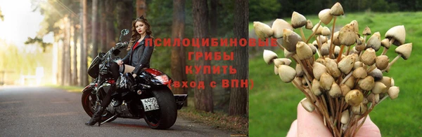 jwh Беломорск