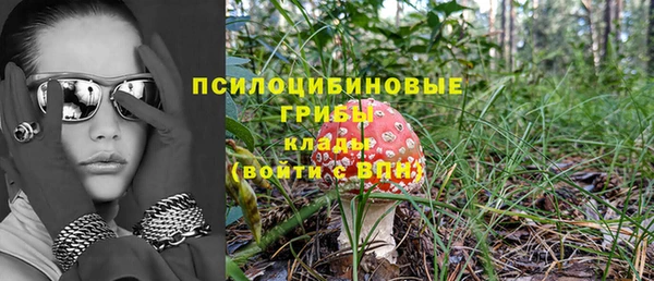 экстази Белокуриха